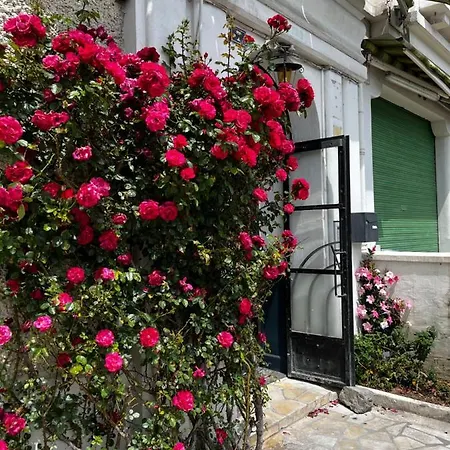 Διαμέρισμα T1 Bis Cosy Proche Gare Λούρδη