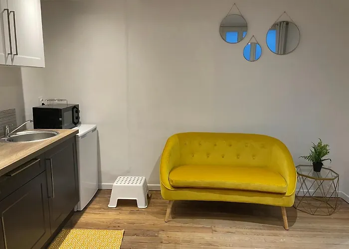 T1 Bis Cosy Proche Gare