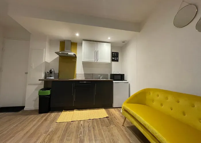 T1 Bis Cosy Proche Gare 卢德