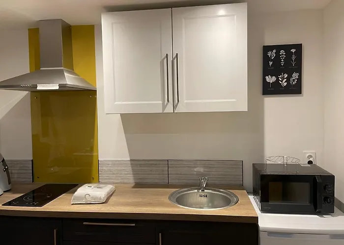 T1 Bis Cosy Proche Gare 公寓 *