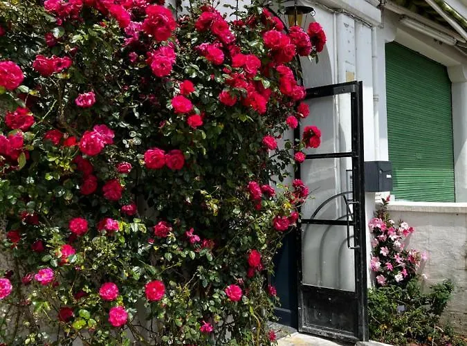 公寓 T1 Bis Cosy Proche Gare 卢德